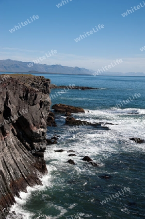 Der Westen Islands, die Klippen der Steilk?ste von Arnastapi auf der S?dseite der Halbinsel Sn?fellsnes