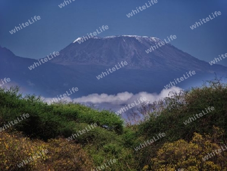 kilimandscharo, Berg, Berge, Natur, Landschaft, Schnee, in, Tsavo, West, Kenya, Kenia, Afrika