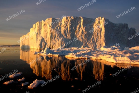 Eisberge am Kangia Eisfjord
