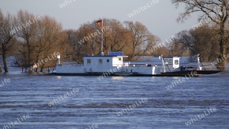 F?hre Prettin im Elbe Hochwasser 2011