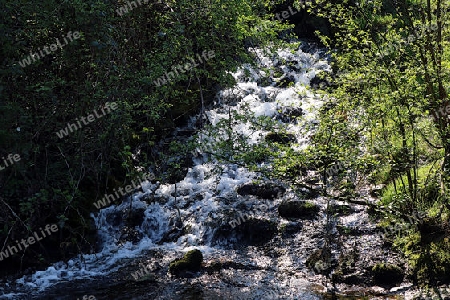 Wasserfall Chriesbach q
