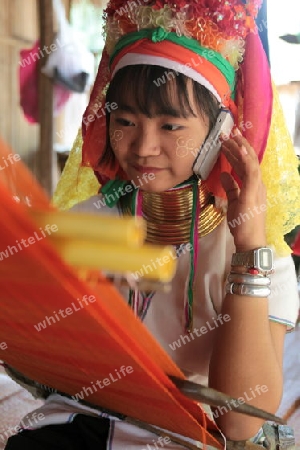 Eine Traditionell gekleidete Langhals Frau eines Paudang Stammes aus Burma lebt in einem Dorf noerdlich von Chiang Mai in Nord Thailand