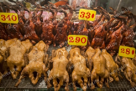 Duck at the morning Market in Nothaburi in the north of city of Bangkok in Thailand in Southeastasia.