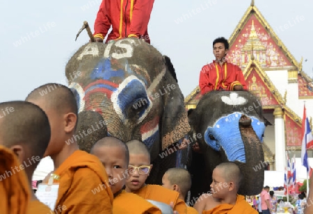 Das Songkran Fest oder Wasserfest zum Thailaendischen Neujahr ist im vollem Gange in Ayutthaya noerdlich von Bangkok in Thailand in Suedostasien.  