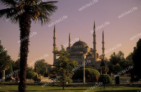 Die Blaue Moschee im Stadtteil Sulranahmet in Istanbul in der Tuerkey.