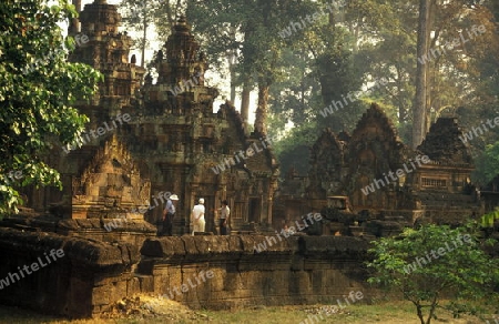 the Banteay Srei temple in Angkor at the town of siem riep in cambodia in southeastasia. 
