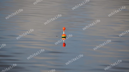 Bunte Anglerboje (Blinker, Pose) spiegelt sich in der See