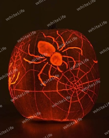 Halloween K?rbis - Spinne Spider / Pumpkin