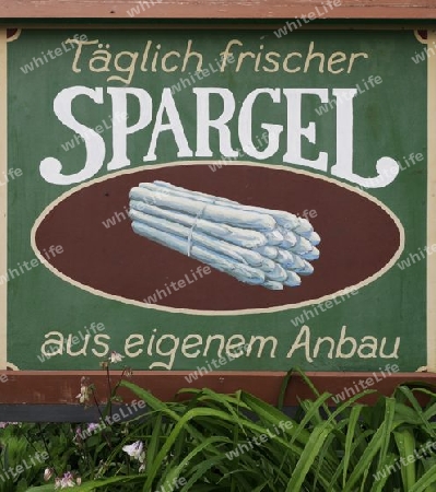 Schild Spargel