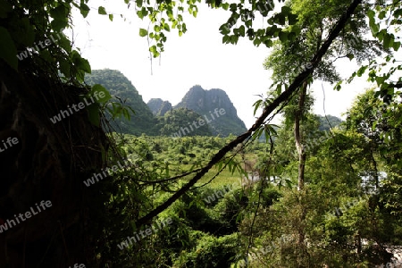 Die Landschaft rund um die Buddha Hoehle oder Buddha Cave (Innen ist Fotografieren verboten) von Tham Pa Fa unweit der Stadt Tha Khaek in zentral Laos an der Grenze zu Thailand in Suedostasien.