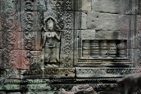 The Temple of  Preah Khan in the Temple City of Angkor near the City of Siem Riep in the west of Cambodia.