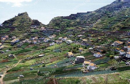 Die Landwirtschaft beo Santo Antonio bei Funchal im sueden der Insel Madeira im Atlantischen Ozean, Portugal.