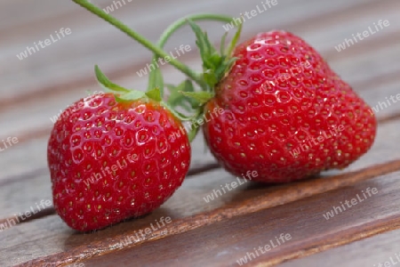 Strawberrys 1 