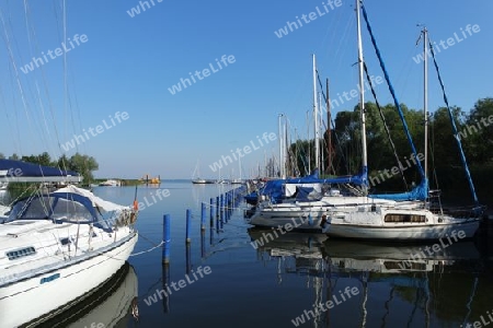 Segelboote in Mecklenburg-Vorpommern