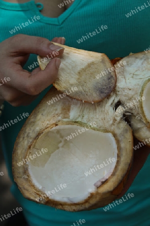King Coconut - Kokosfleisch mit biologischen L?ffel