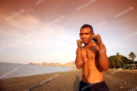 Ein Boxer am Stadtstrand von Dili der Hauptstadt von Ost Timor auf der in zwei getrennten Insel Timor in Asien.  