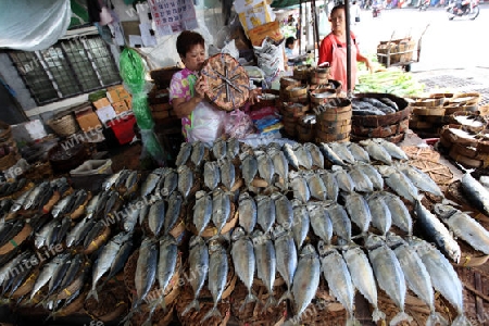 Fische auf dem Thewet Markt im Zentrum der Hauptstadt Bangkok in Thailand. 