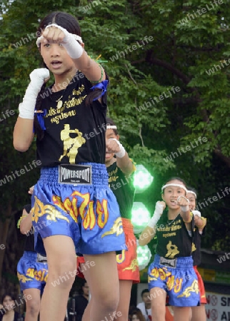 Kinder bei einer traditionellen Thai Box Show im Santichaiprakan Park am Mae Nam Chao Phraya in der Hauptstadt Bangkok von Thailand in Suedostasien.