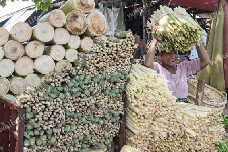 Bamboo at a marketstreet in the City of Mandalay in Myanmar in Southeastasia.