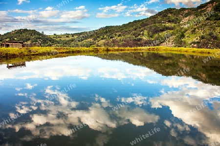 Reflection on a lake somewhere in South Africa