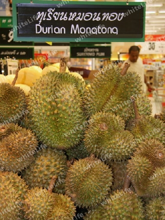 Durian Frucht