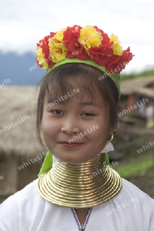 Langhalsfrau in Nordthailand