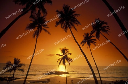 the beach of Anjuna in the Province Goa in India.