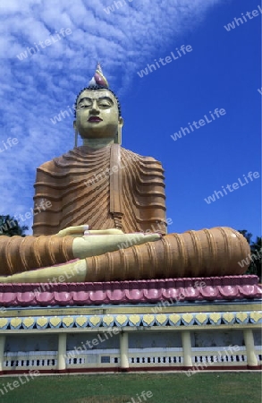 Eine Buggha Figur im Weherahena Tempel im sueden von Sri Lanka in Asien.