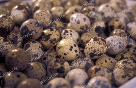 eggs at the Market in the city of Chongqing in the province of Sichuan in china in east asia. 