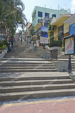 Treppe , Escalantina Diego Noboa,  im Bezirk Las Penas, zum Aufstieg auf den Cerro Santa Ana,  Guayaquil, Ecuador, Suedamerika