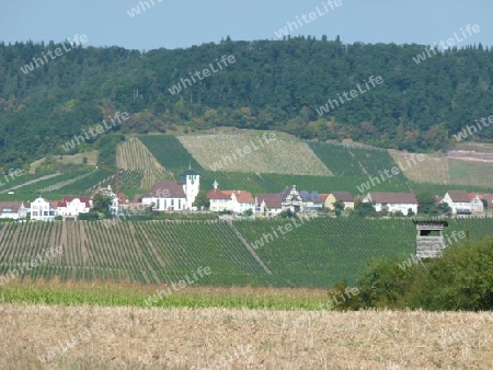 Landschaft mit Dorf am Weinberg