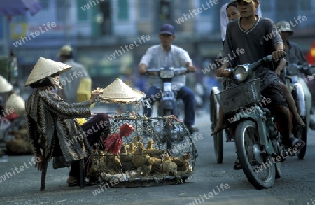 Asien, Vietnam, Mekong Delta, Cantho
Eine Huehner Verkaeuferin an einer Strasse in Cholon in der Stadt Ho Chi Minh City oder Saigon in Sued Vietnam.         






