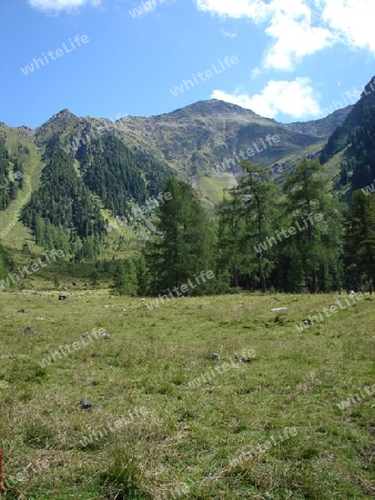 Tiroler Berglandschaft