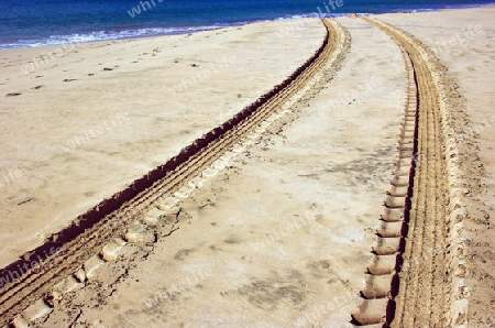 Vehicle tracks in the sand on the beach