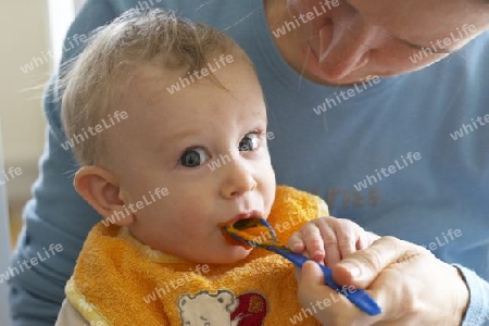 Baby wird von Mutter mit Karottenbrei gef?ttert