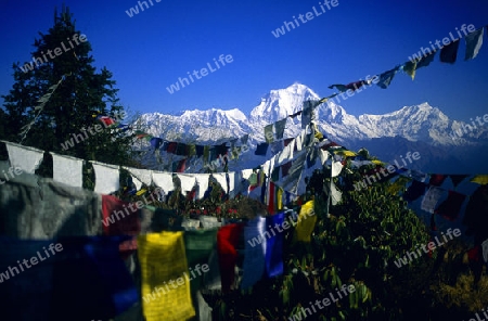 Buddhistische Gebetsfahnen im Himalaja