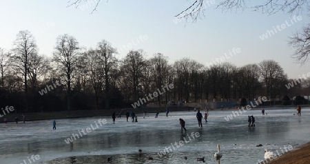 Zugefrorener Teich, Eis-Zeit (2)