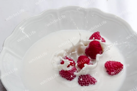 Himbeere faellt in Milch, Raspberry falls into milk
