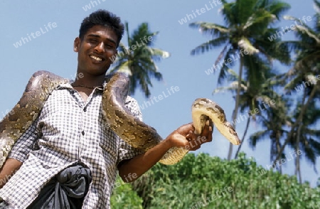 Ein Junge mit einer Schlange am Strand von Hikkaduwa im sueden der Insel Sri Lanka im Indischen Ozean.