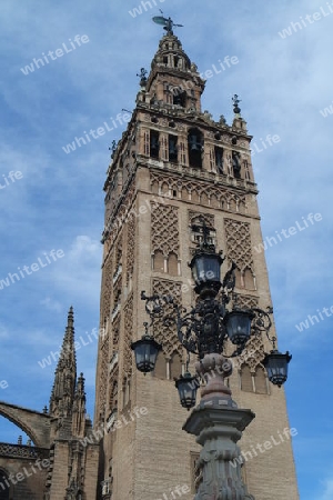 Giralda Turm in Sevilla