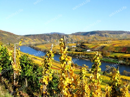 mosel bei p?nderich