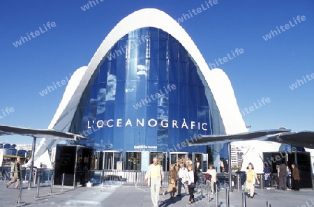 Das L Oceanografic im Modernen Stadtteil von Valenzia in Spanien in Europa.