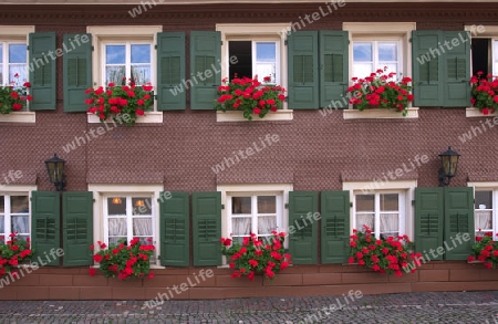 Fensterfront eine Hauses im Schwarzwald