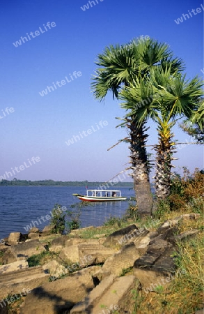 the west baray Lake in Angkor at the town of siem riep in cambodia in southeastasia. 