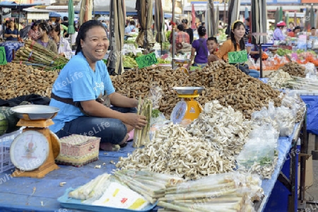 Der Markt in Amnat Charoen im Isan im osten von Thailand,