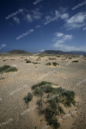 the Landscape of the Jandia Natural Parc on the south of the Island Fuerteventura on the Canary island of Spain in the Atlantic Ocean.