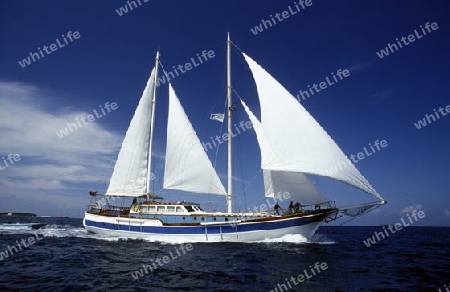 
Ein Segelschiff fuer Kreuzfahrten in der Inselwelt  im Northmale  Atoll auf den Inseln der Malediven im Indischen Ozean