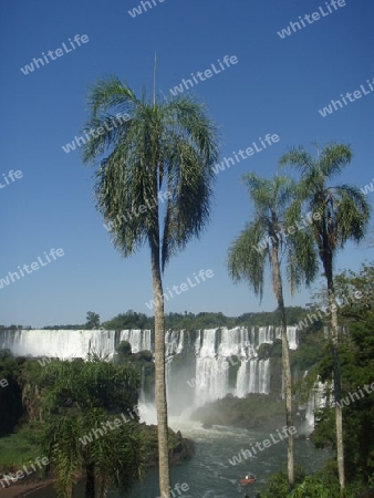 Wasserfall mit Palmen