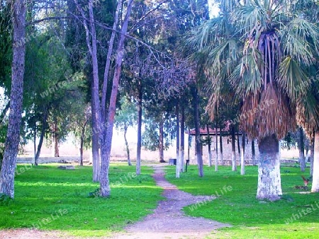 Park bei Milet