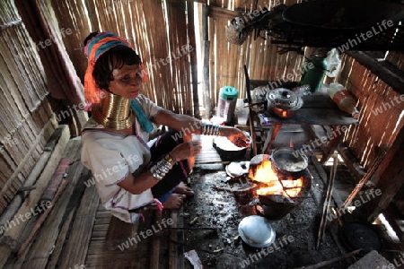 Eine Traditionell gekleidete Langhals Frau eines Paudang Stammes aus Burma lebt in einem Dorf noerdlich von Chiang Mai in Nord Thailand.  